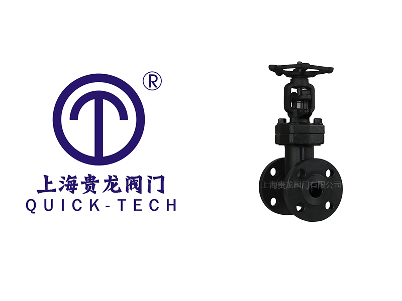 上海貴龍閥門有限公司鍛鋼波紋管截止閥的優(yōu)點！