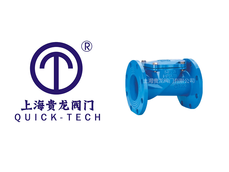 上海貴龍閥門有限公司橡膠瓣止回閥的特點！